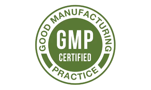 Memopezil GMP certified manufacturing